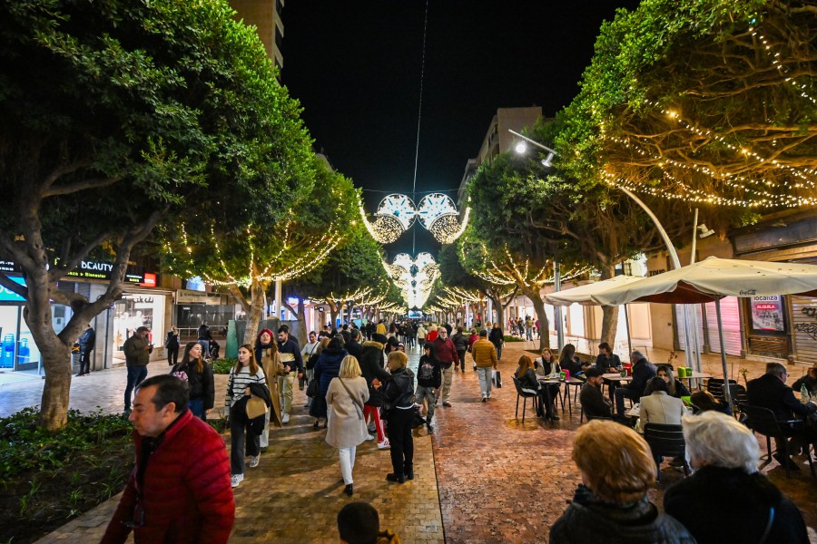 Imagen de la noticia: Almería licita la instalación de alumbrado decorativo permanente en el Paseo