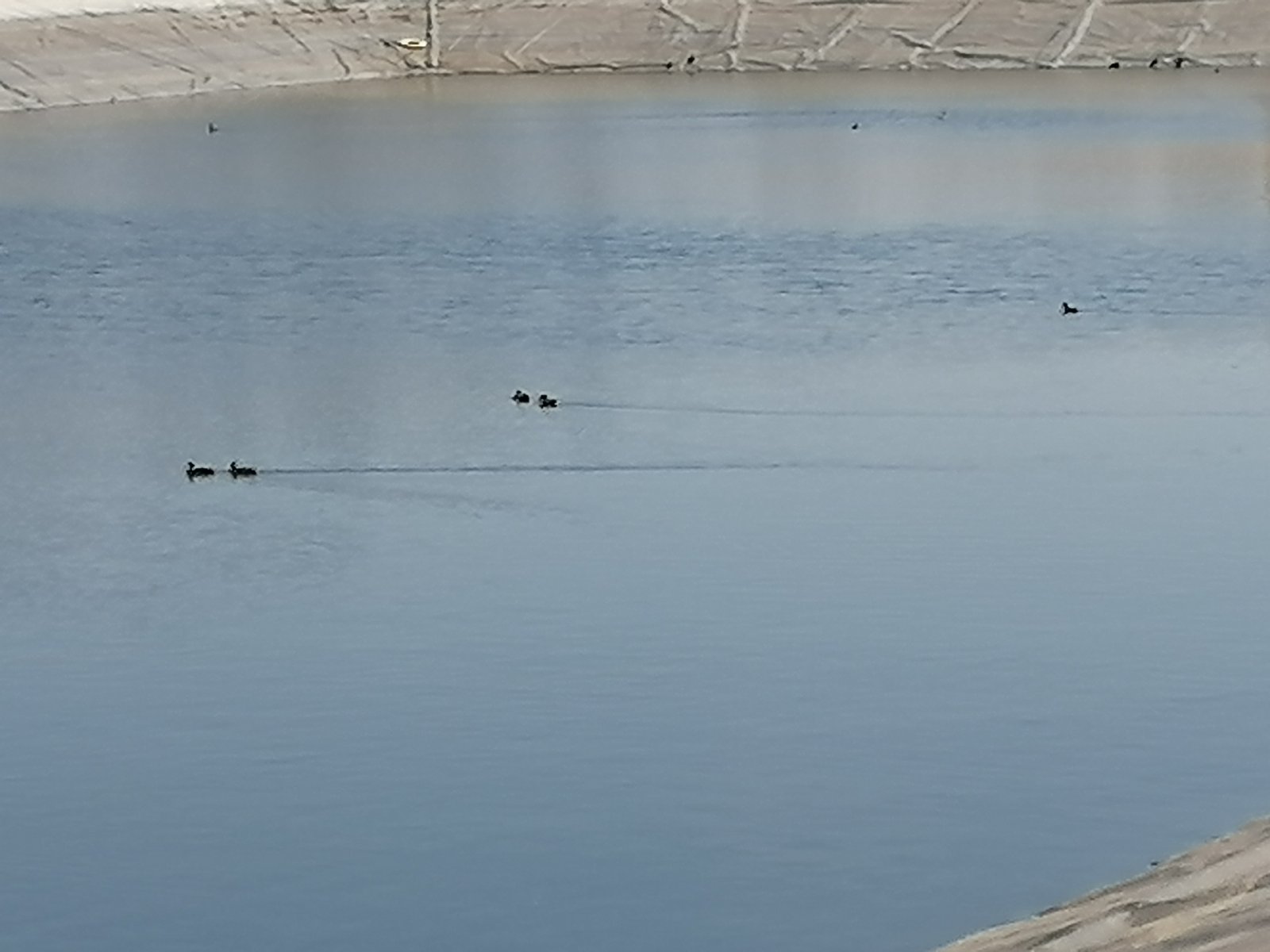 Imagen de la noticia: COAG Almería pide acelerar las obras de agua ante el arranque de la campaña hortofrutícola