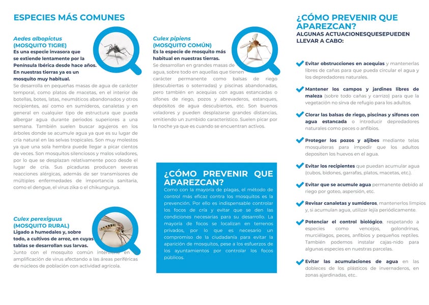 Imagen de la noticia: Vera intensifica la vigilancia contra los mosquitos y pide colaboración vecinal