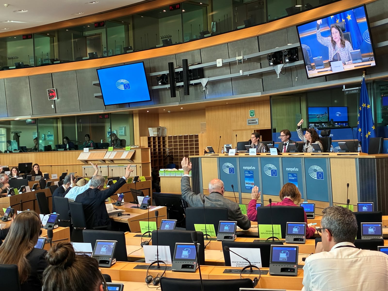 Image for the story: The European Parliament's Fisheries Committee approves Crespo's report to reform the Mediterranean plan