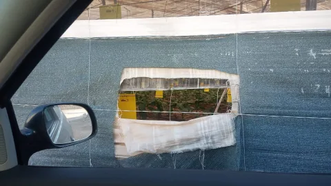 Imagen de la noticia: COAG pide al Gobierno agua, medidas contra el trips y seguridad para el campo almeriense