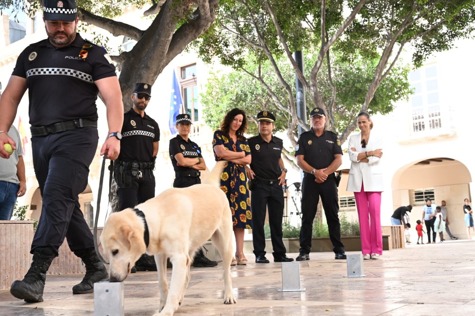 Imagen de la noticia: Almería amplía a 91 plazas la Oferta de Empleo Público de 2026, con 27 para la Policía Local