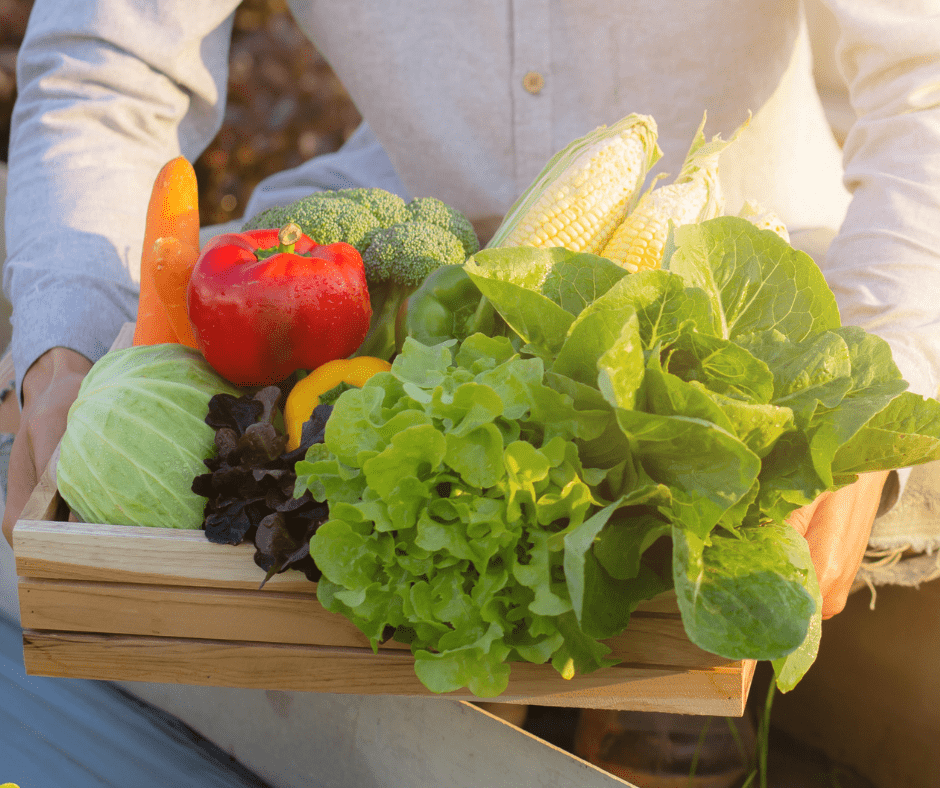 Imagen de la noticia: Coexphal abre un curso online sobre higiene y seguridad alimentaria desde el 27 de octubre