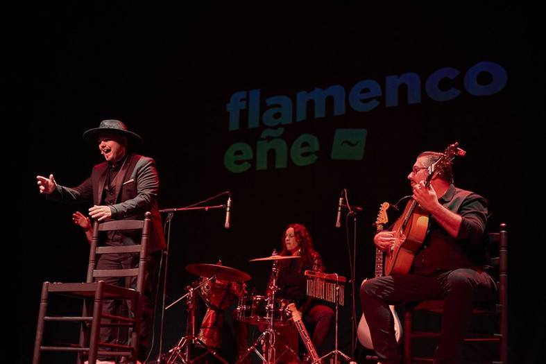 Imagen de la noticia: Almería acoge del 24 al 26 de noviembre la XI Muestra de Flamenco para Programadores Internacionales