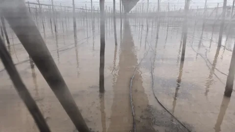 Image for the story: COAG estimates the damage from DANA Adam at 130 hectares and calls for direct aid for the Poniente