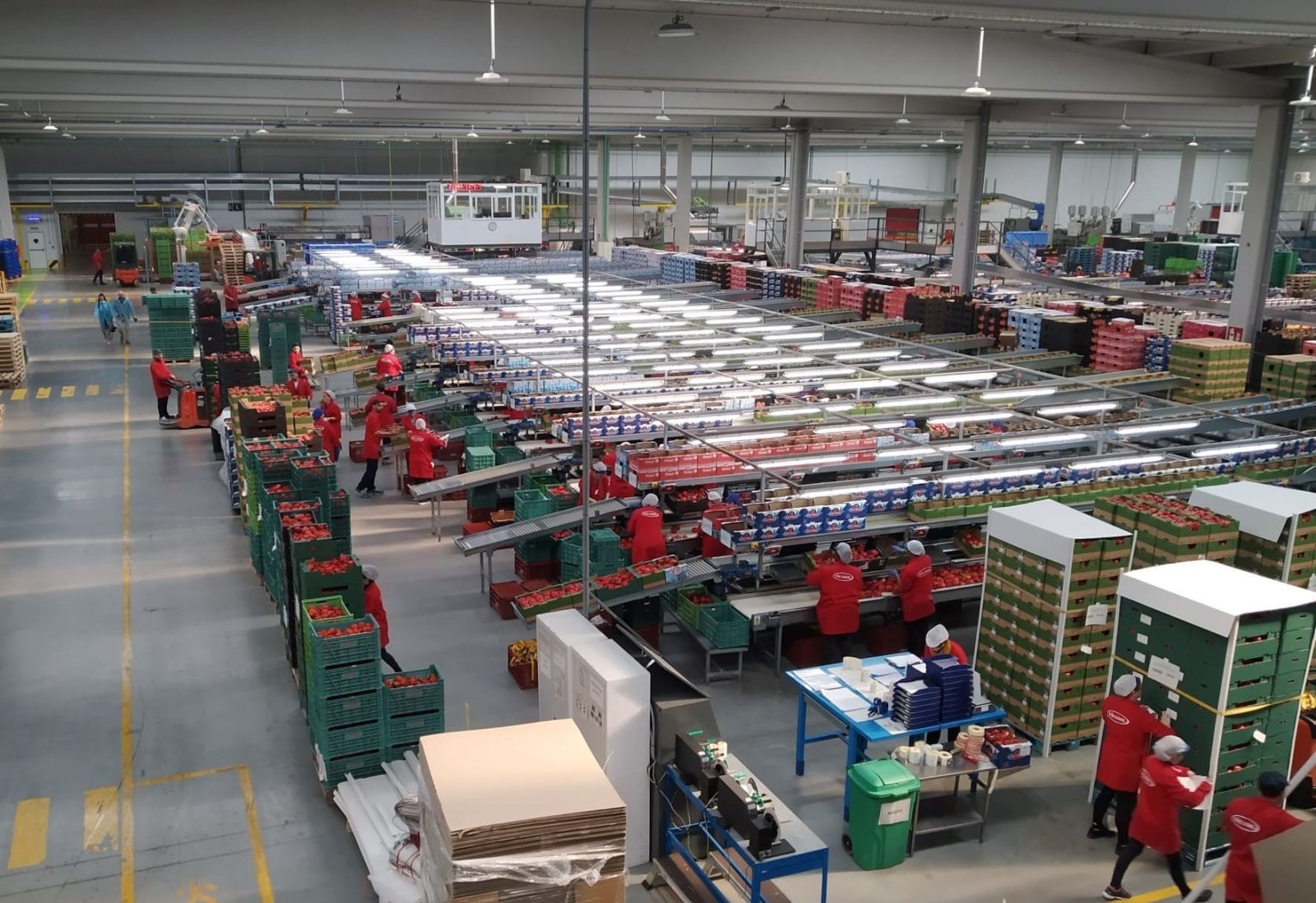 Imagen de la noticia: Coexphal forma a técnicos de calidad en control de plagas en la industria alimentaria